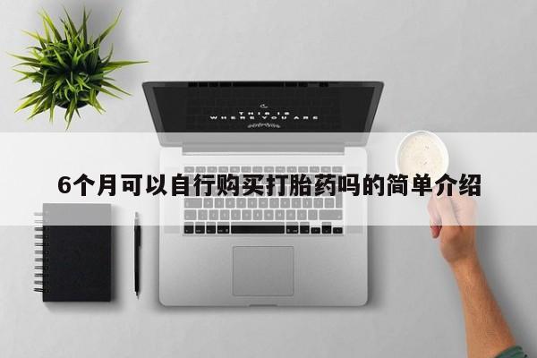 私人店打胎药多少钱一盒6个月可以自行购买打胎药吗的简单介绍